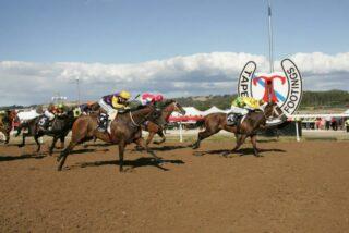 Free expert tips for Devonport horse racing today. Preview, best bets & predictions for Devonport Racecourse on Sunday, September 18, 2022.