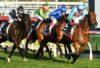 Memsie Stakes Barrier Draw