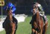 Golden Rose Stakes Barrier Draw