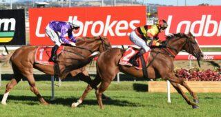 Free expert tips for Launceston horse racing today. Preview, best bets & predictions for Launceston Racecourse on Sunday, August 21, 2022.