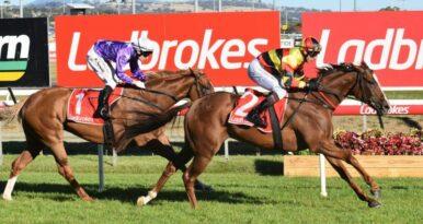 Free expert tips for Launceston horse racing today. Preview, best bets & predictions for Launceston Racecourse on Sunday, August 21, 2022.