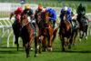 Orange Preview & Best Bets – 24/03/2024