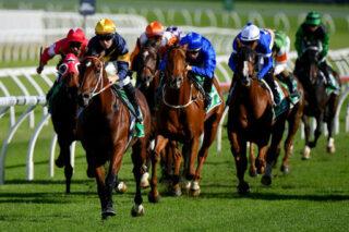 Orange Preview & Best Bets – 24/03/2024