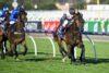 Memsie Stakes field barrier draw