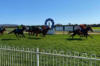 Ararat Preview & Best Bets