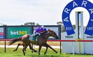 Ararat Preview & Best Bets