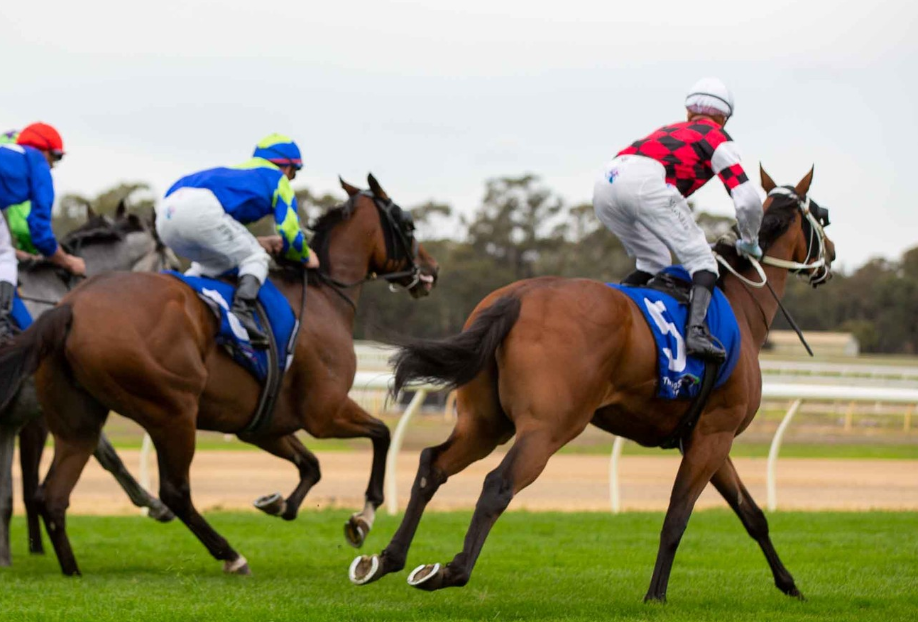Bendigo Preview & Best Bets - 28/11/2023 - RacingBase July 24, 2026