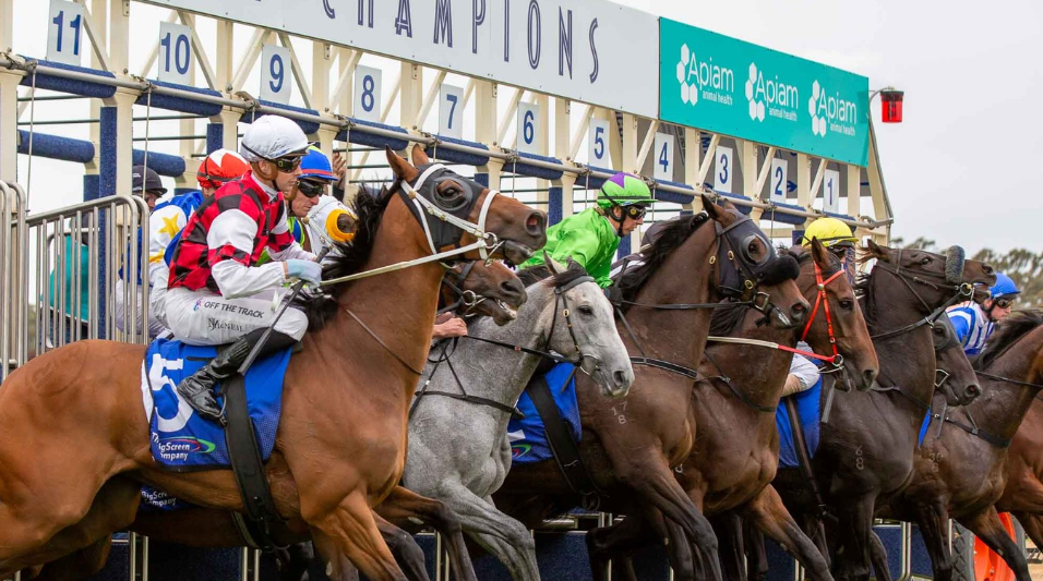 Bendigo Preview & Best Bets - 17/12/2023 - RacingBase July 24, 2026