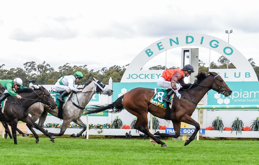 Bendigo Preview & Best Bets - 01/11/2023 - RacingBase June 24, 2026