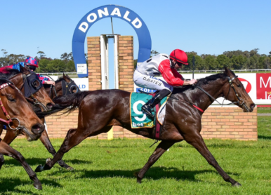 Donald Preview & Best Bets