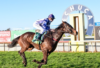 Echuca Preview & Best Bets