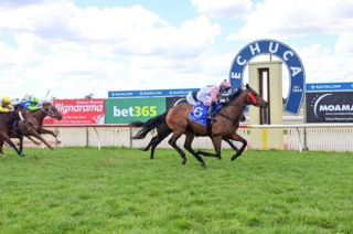 Echuca Preview & Best Bets