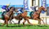 Echuca Tips & Preview