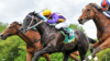 Kyneton Preview & Best Bets