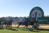 Mildura Preview & Best Bets