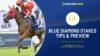 Blue Diamond Stakes Tips & Preview