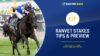 Ranvet Stakes Tips & Preview