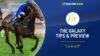 The Galaxy Tips & Preview