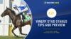 Vinery Stud Stakes Tips & Preview