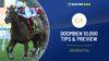 Doomben 10000 Tips & Preview
