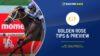 Golden Rose Tips & Preview