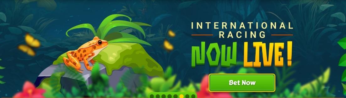 JungleBet international racing