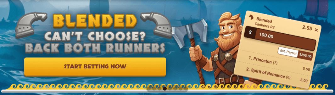 VikingBet blended