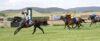 Goulburn Preview & Best Bets – 29/04/2024