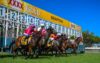 Grafton Preview & Best Bets – 16/05/2024