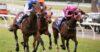 New Zealand Preview & Best Bets – 11/05/2024