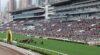 Hong Kong Preview & Best Bets – 19/05/2024