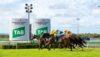 Sunshine Coast Preview & Best Bets – 25/04/2024