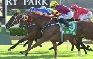 Canterbury Preview & Best Bets – 01/05/2024