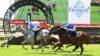 Eagle Farm Preview & Best Bets – 08/05/2024