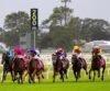 Muswellbrook Preview & Best Bets – 03/05/2024