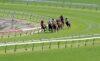 Randwick Preview & Best Bets – 15/05/2024