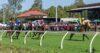 Rockhampton Preview & Best Bets – 14/05/2024