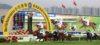 Hong Kong Preview & Best Bets – 11/05/2024