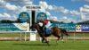 Wellington Preview & Best Bets – 07/05/2024