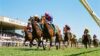 Article reviewing racing tips for 23 of feb at albury