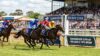 tamworth racing tips for monday 23rd of feb