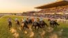 Ascot Perth racing March 18 2026