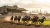 Caulfield Melbourne racing March 18 2026