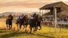 Grafton Yamba Cup racing action