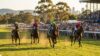Hawkesbury metropolitan racing NSW March 17 2026