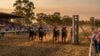 Moree country racing NSW March 17 2026