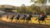 Nowra south coast racing March 16