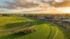 Terang horse racing aerial view with horses on track
